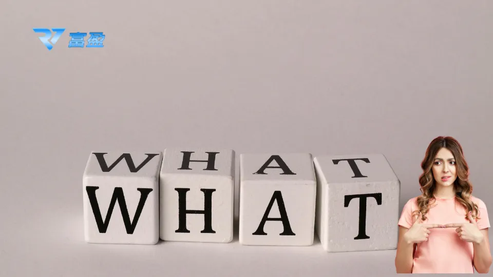 RV富盈娛樂城術語教學封面，WHAT立體字方塊搭配女性角色疑問表情，強調新手常見不懂名詞的反應